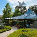 The Blue Pagoda